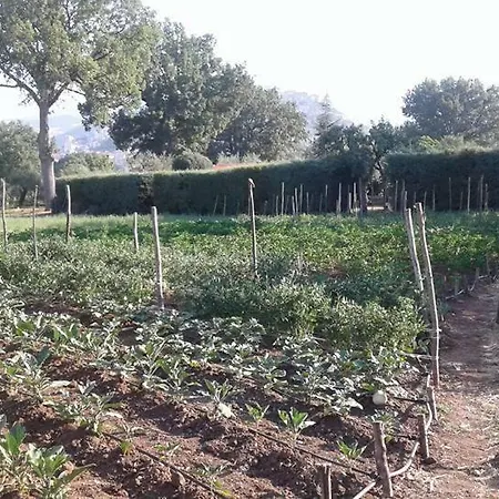 Farm stay Agriturismo Tre Santi