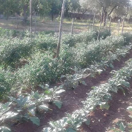 Agriturismo Tre Santi *