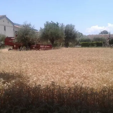 Agriturismo Tre Santi Farm stay Padula